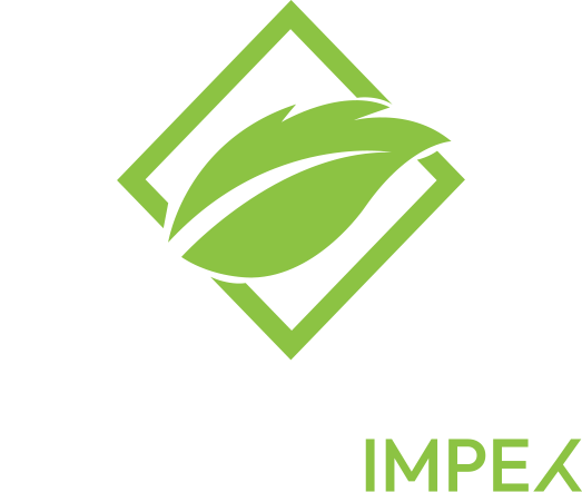 Paracha Impex